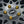 Load image into Gallery viewer, COLD FORGED TITANIUM LUG NUTS